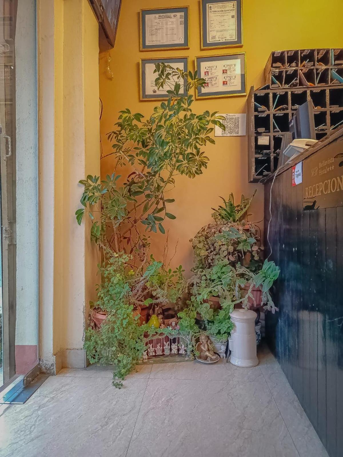 Hostal Terrabella Srl ลาปาซ ภายนอก รูปภาพ